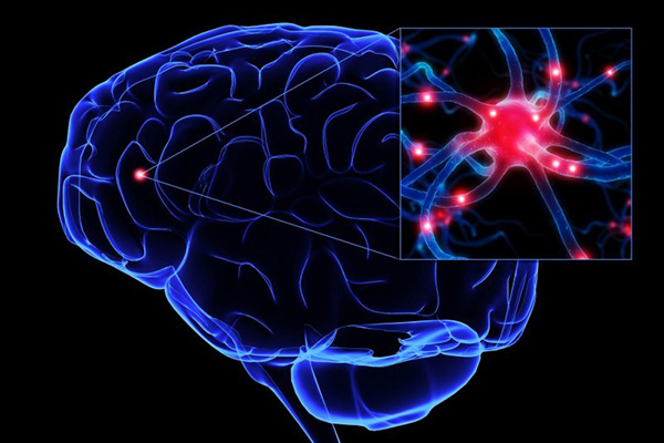 Cientistas descobrem caminho que pode reverter o Alzheimer