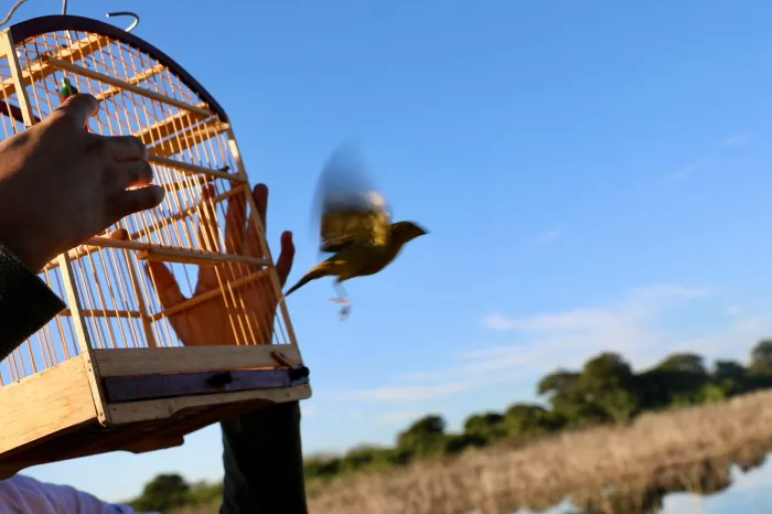 Soltura de aves resgatadas marca fim da Fiscalização Preventiva Integrada no Oeste baiano