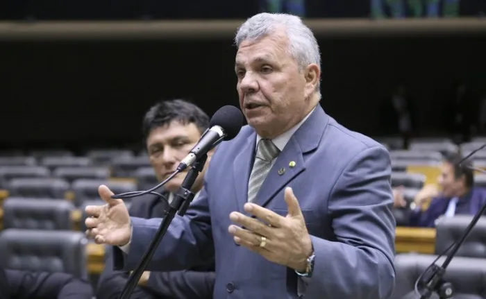 Comissão aprova regras para criação doméstica e comercialização de aves nativas ou exóticas