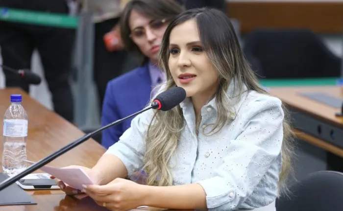 Comissão aprova proposta que prevê transporte gratuito de cadeira de rodas em avião