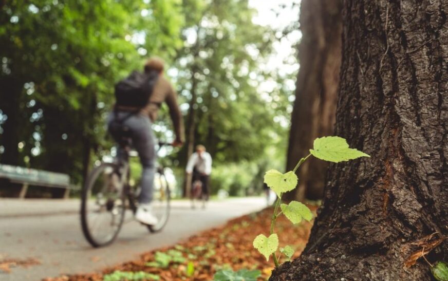 Ilhas de calor urbanas: Planejamento sustentável pode reduzir as altas temperaturas nas cidades