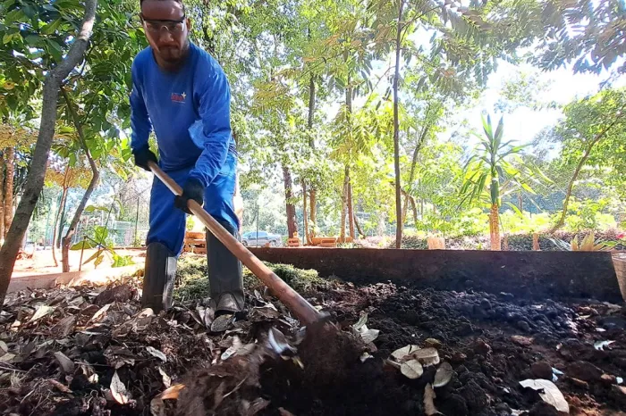 Dia do Meio Ambiente: De volta ao ciclo, borra de café dá vida ao verde da ALEMS
