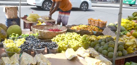 Fruticultura baiana demanda solução diplomática diante do tarifaço dos EUA