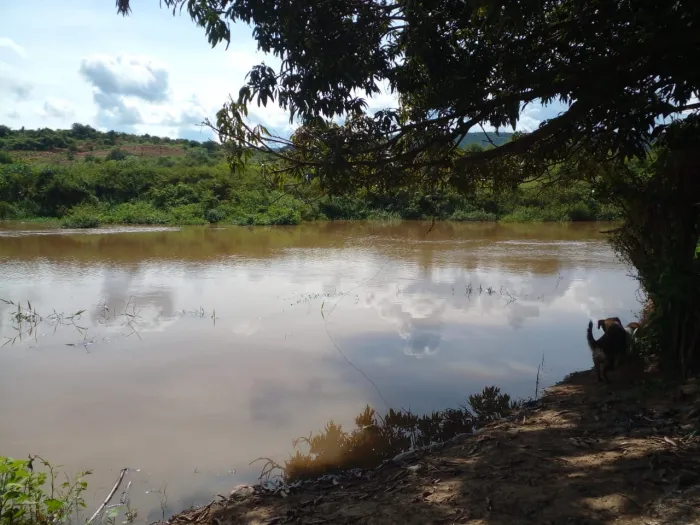Defesa Civil monitora vazão de água em Barreiro do Rio Pardo. Nível do rio aumentou 60 cm neste domingo, 15
