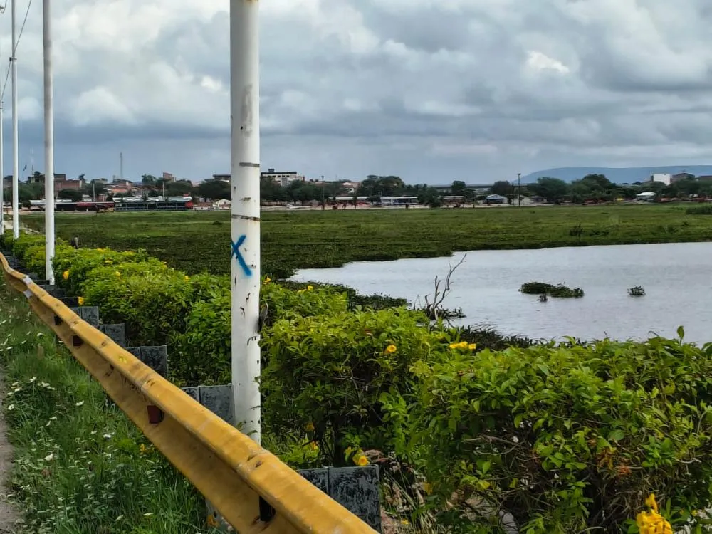 Baronesas sufocam o Velho Chico: a crise invisível que ameaça o Rio São Francisco