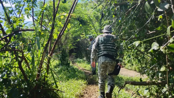 Força-Tarefa da Prefeitura retomou buscas por Rosânia no entorno do Rio Verruga às 4h30. Outra equipe está na Limeira