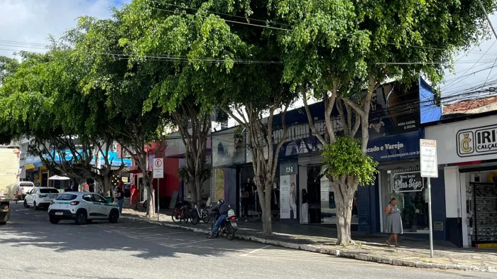 Secretaria Municipal de Meio Ambiente ressalta importância da arborização e manutenção das árvores na região central