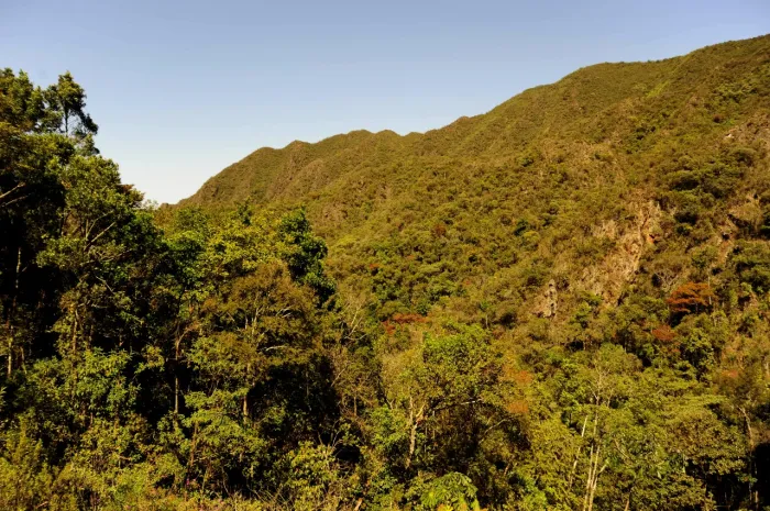 Conselho Estadual de Política Ambiental começa processo de eleição para recomposição 2026/2028