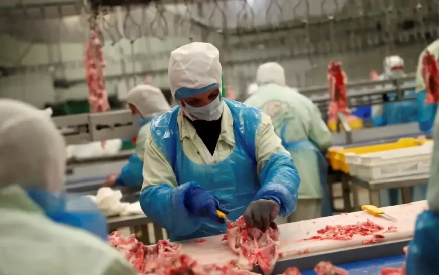 Exportações brasileiras de frango atingem recorde para mês de fevereiro